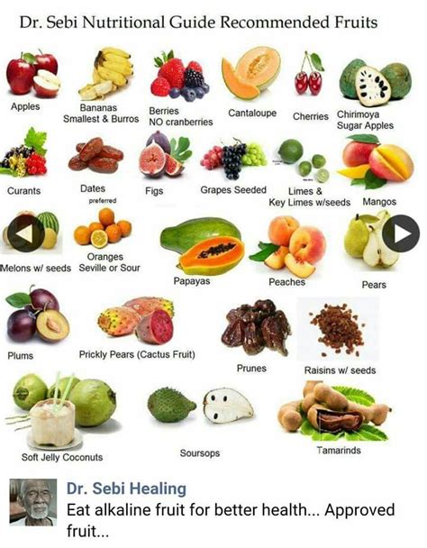 Sebis approved alkaline foods list, also known as the Electric Food List, includes vegetables, natural grains, fruits, spices and seasoning, herbal teas, oils, nuts, seeds, and natural sugars. . Dr sebi fruit list